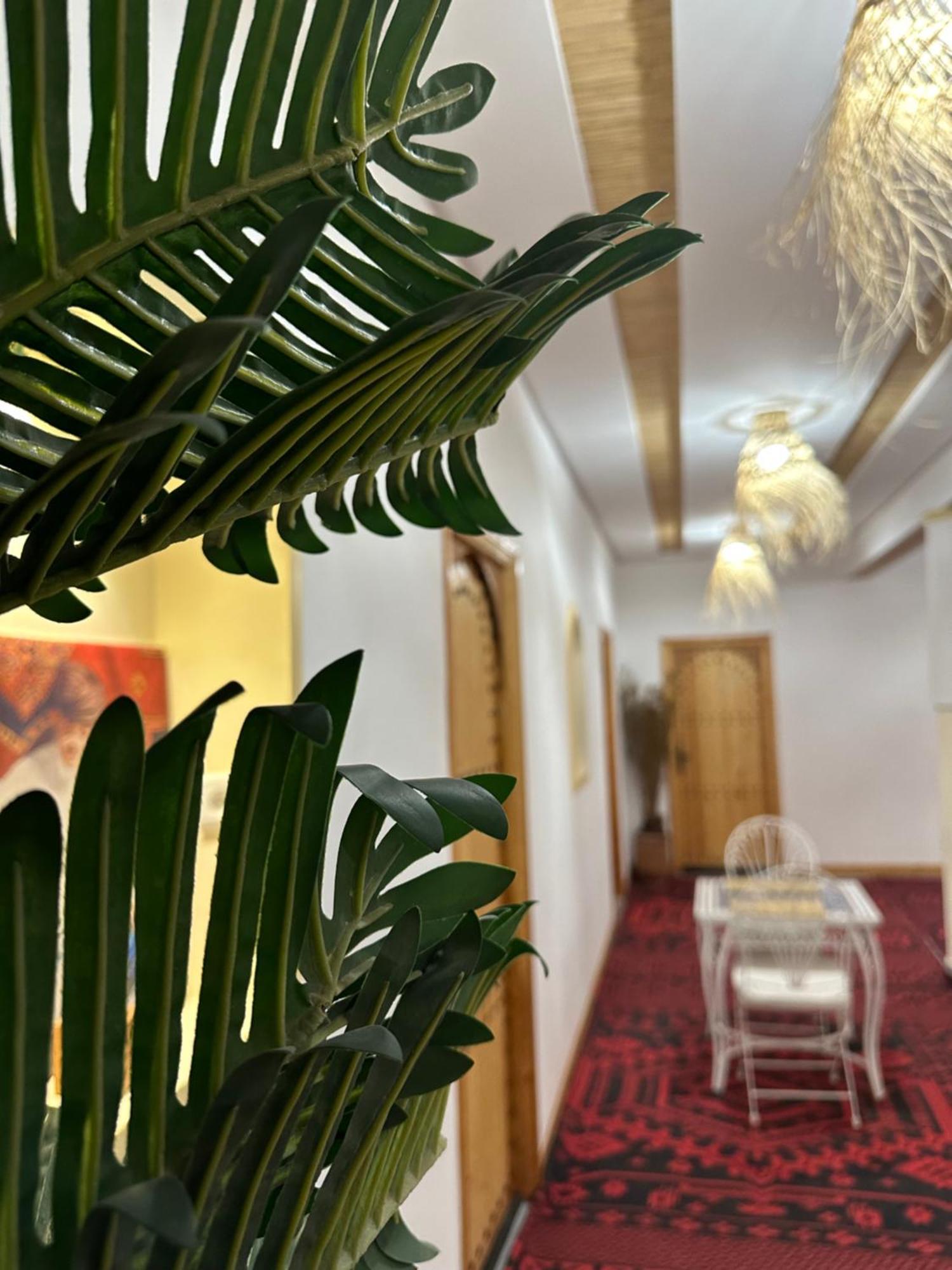 Riad Dreams Dades Tamellalt  エクステリア 写真